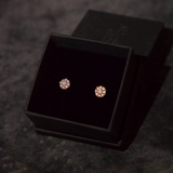 Cluster Øreringe (Rose Gold)