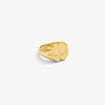 Clover Ring — Yellow Gold view 1 | colour:yellow