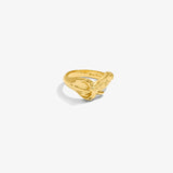 Eagle Ring — Yellow Gold view 1 | colour:yellow