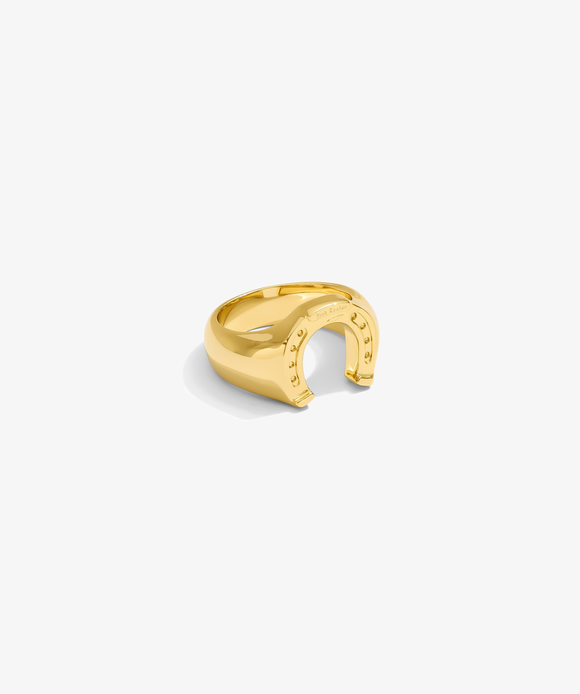 Horseshoe Ring — Yellow Gold view 1 | colour:yellow