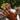 Miami Cuban Link Ring (Silver)